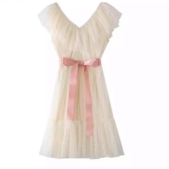 Pink Blush Ruffle Tulle Elegant Pleated Dress - Picture 8 of 16